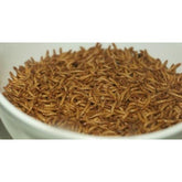 B&K Mealworm